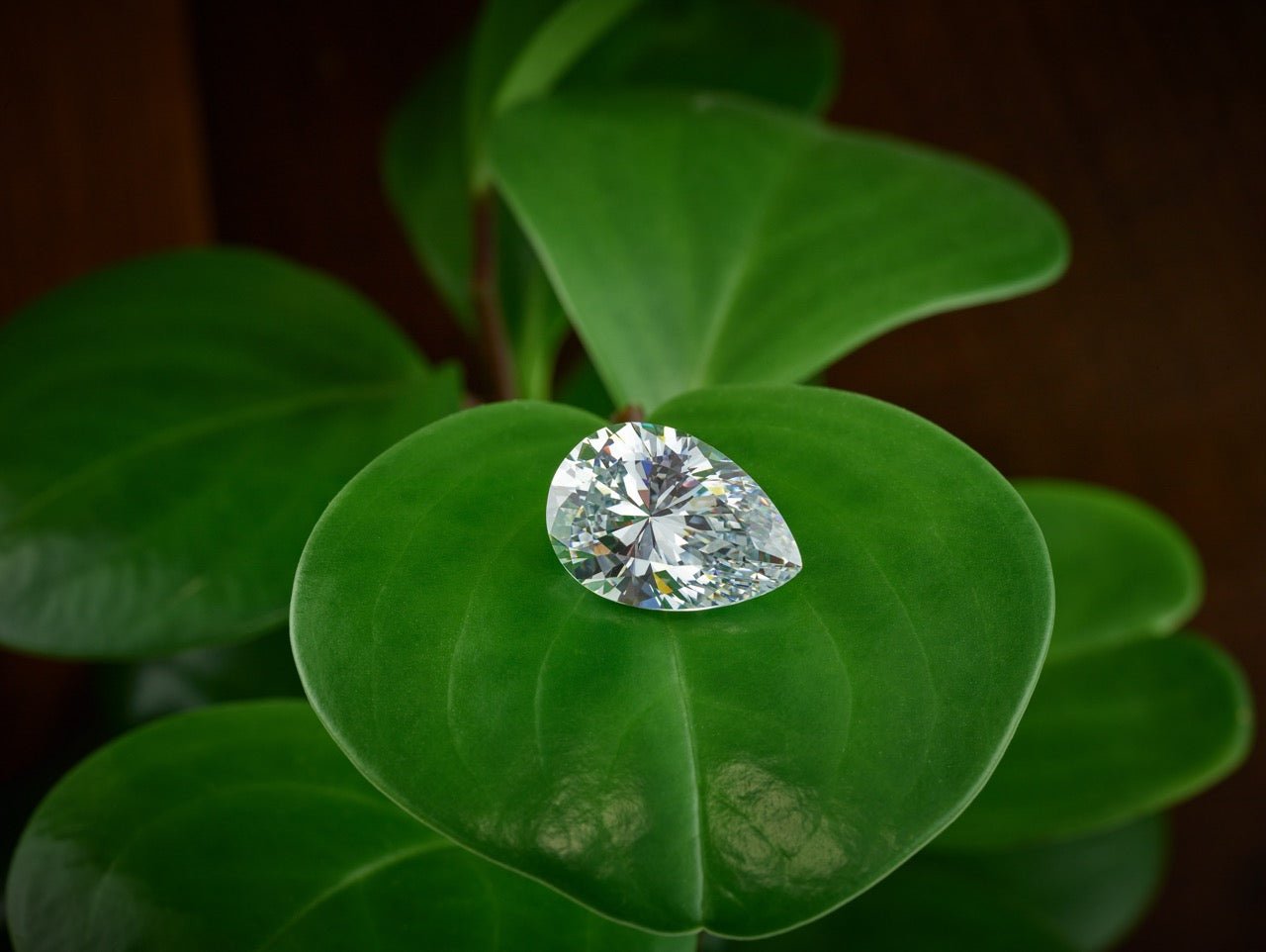 Discover Perfect With  VVX™ Lab-Grown Diamonds - Ice Dazzle