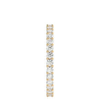 Eternity Band - Ice Dazzle - VVX™ Eternity - Eternity