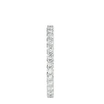Eternity Band - Ice Dazzle - VVX™ Eternity - Eternity