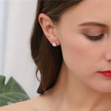 Lab Diamond Bezel Stud Earrings - Ice Dazzle - VVX™ Lab Diamond - Studs