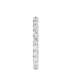 Luna Eternity - Ice Dazzle - VVX™ Eternity - Eternity